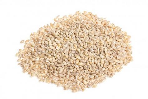 Consumption of pearl barley: advantage and possible harm