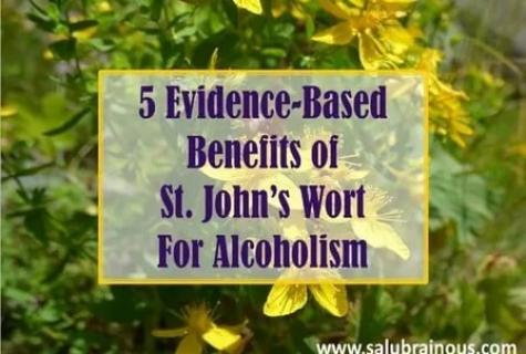 Whether it is possible a St. John's wort at pregnancy?
