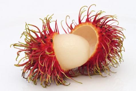 "Fruit rambutan: as is, the description, advantage and harm