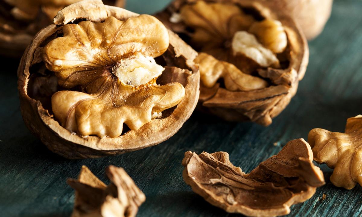 The most useful nuts – walnut"