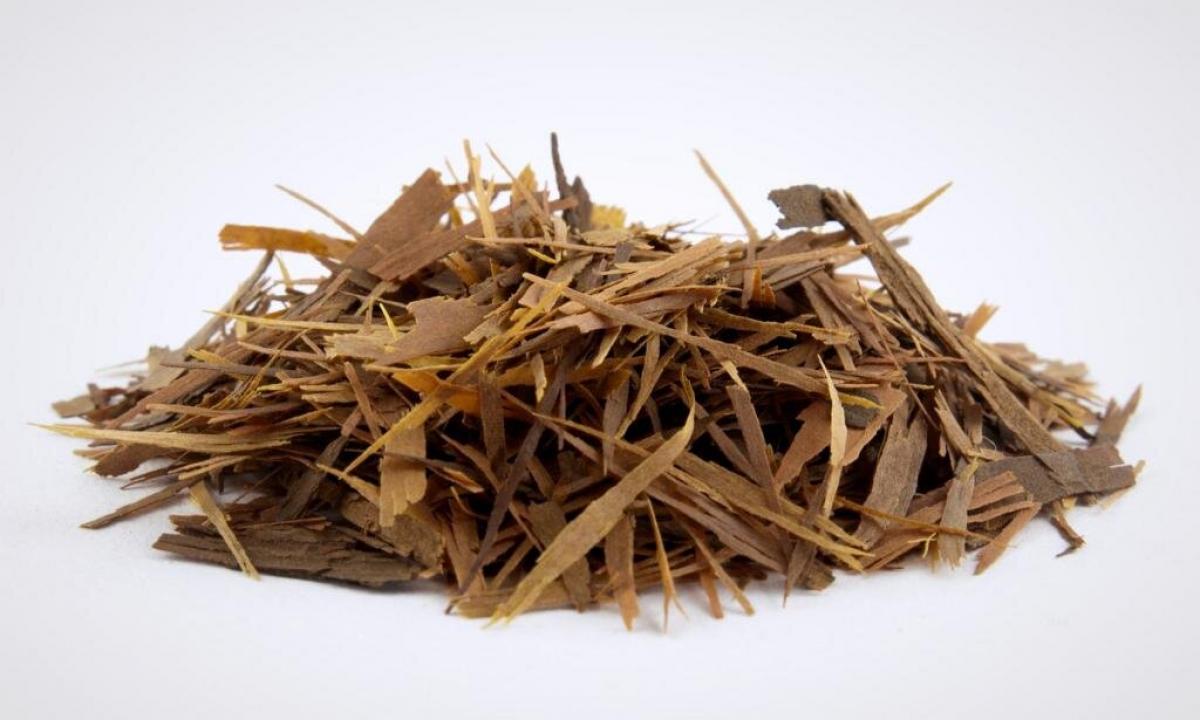 Useful properties of the tea produced from bark of an ant tree — lapacho