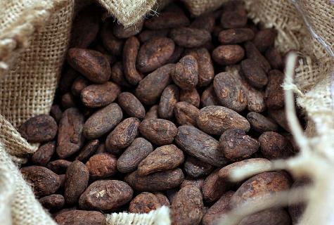 In total about useful properties of cocoa beans