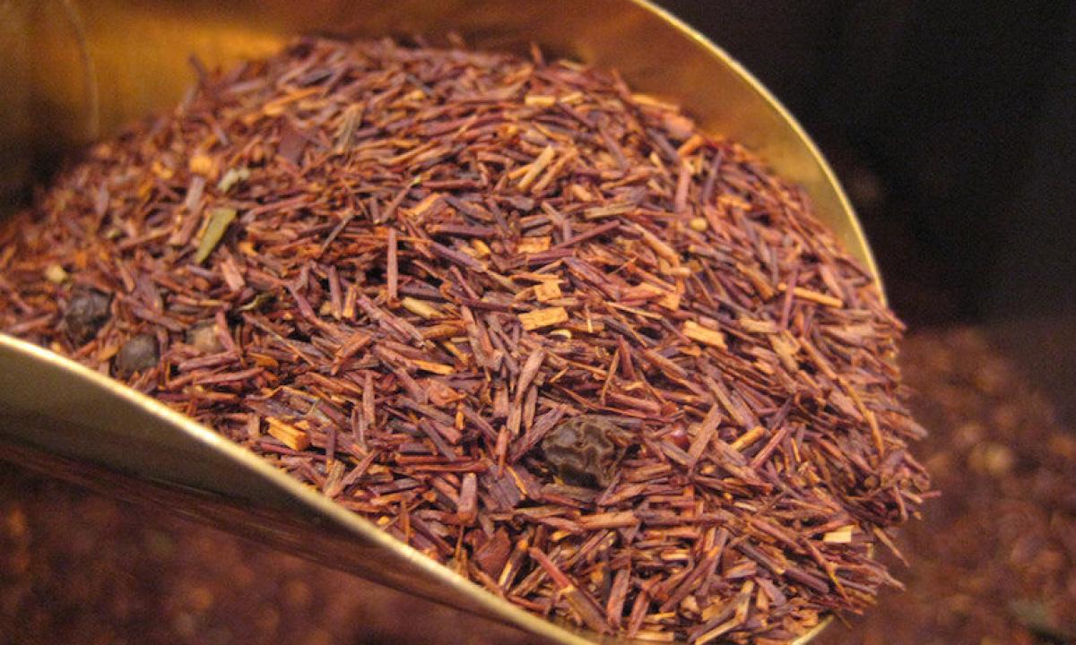 Tea rooibos: what is it, than it is useful how to make and use