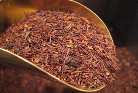 Tea rooibos: what is it, than it is useful how to make and use