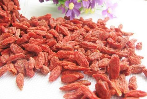 A wonderful find — goji berries, the description and as to take them