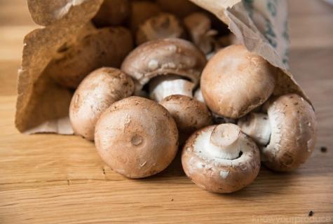In what cases it is worth washing mushrooms and when rather dry cleaning there are features of processing of a mushroom harvest