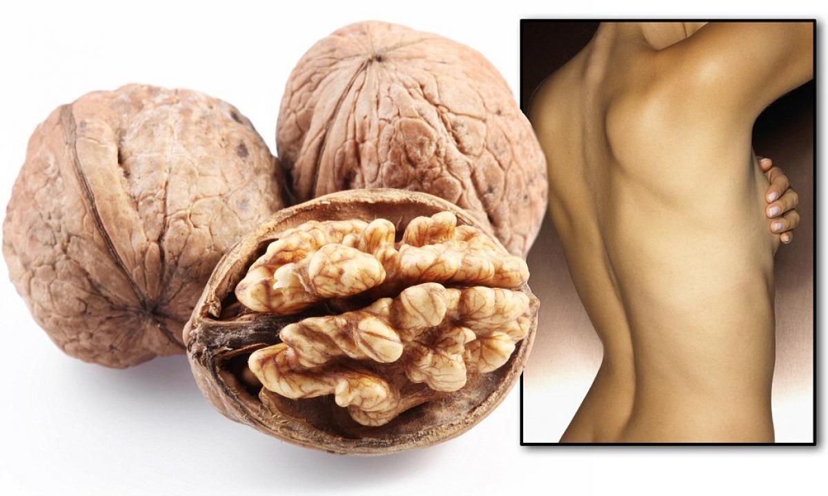 In what advantage and harm of walnuts for a human body"