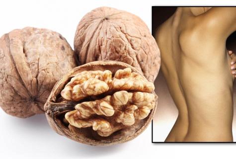 In what advantage and harm of walnuts for a human body