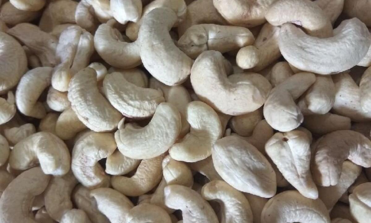 Than are useful, spheres and rules of application of nuts of cashew