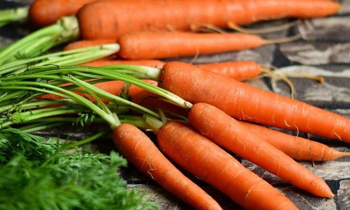 Whether carrots at pregnancy are useful