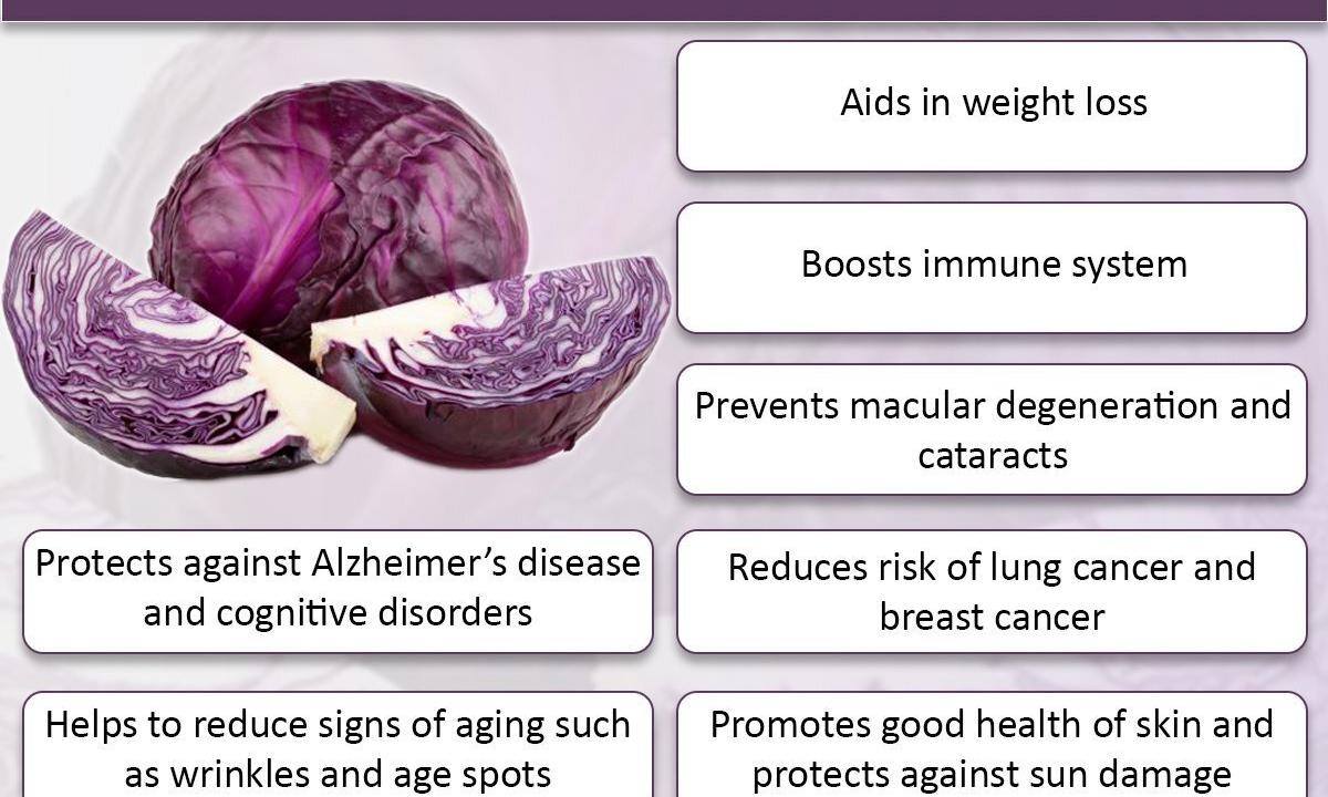 "Red cabbage: than it is useful what vitamins and minerals contain