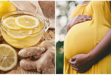 Lemon at pregnancy: advantage and harm