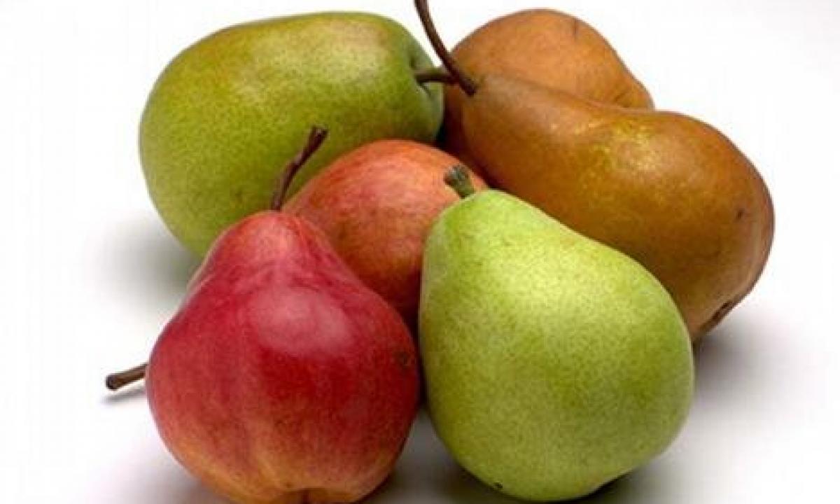 Pear, useful properties and contraindications