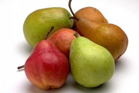 Pear, useful properties and contraindications