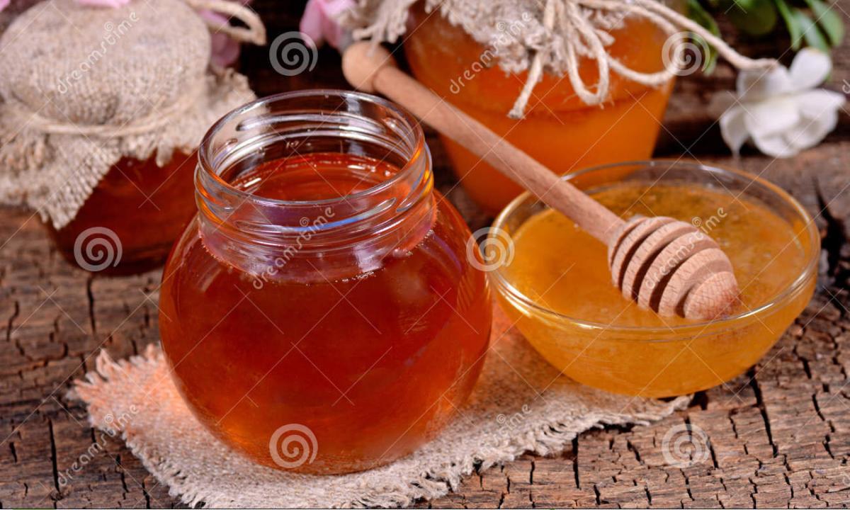 Than it is useful and how to use donnikovy honey in the medical purposes
