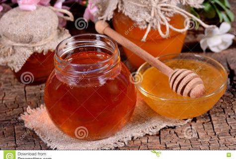 Than it is useful and how to use donnikovy honey in the medical purposes