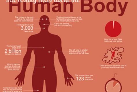 Raisin: advantage and harm for a human body