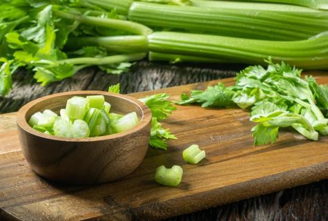 Root celery: advantage and harm