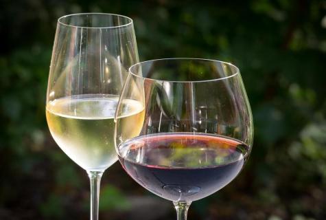 In what advantage and harm of white wine?