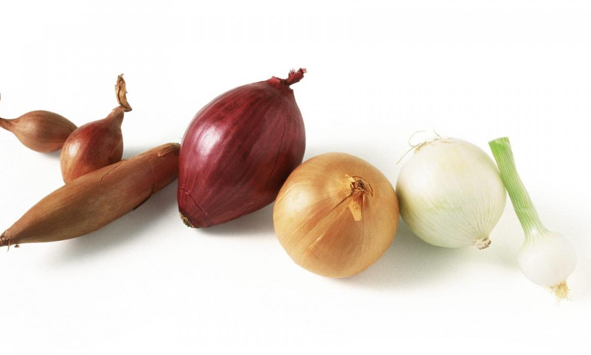 What is onions shallot, and than it is useful