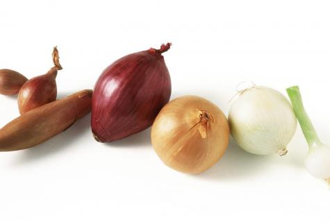 What is onions shallot, and than it is useful