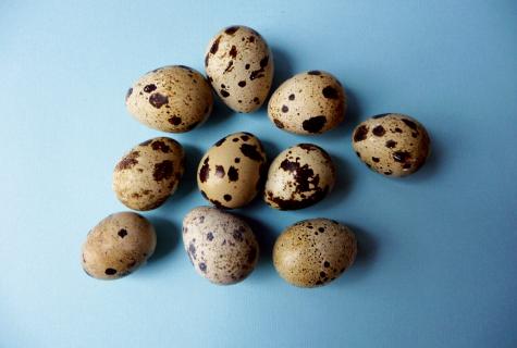 Than quail eggs are useful to female health