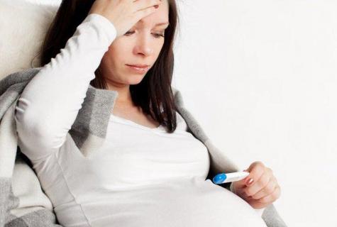 Bran during pregnancy: advantage or harm