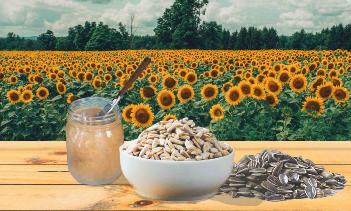 Whether it is possible for pregnant women there are pumpkin sunflower seeds