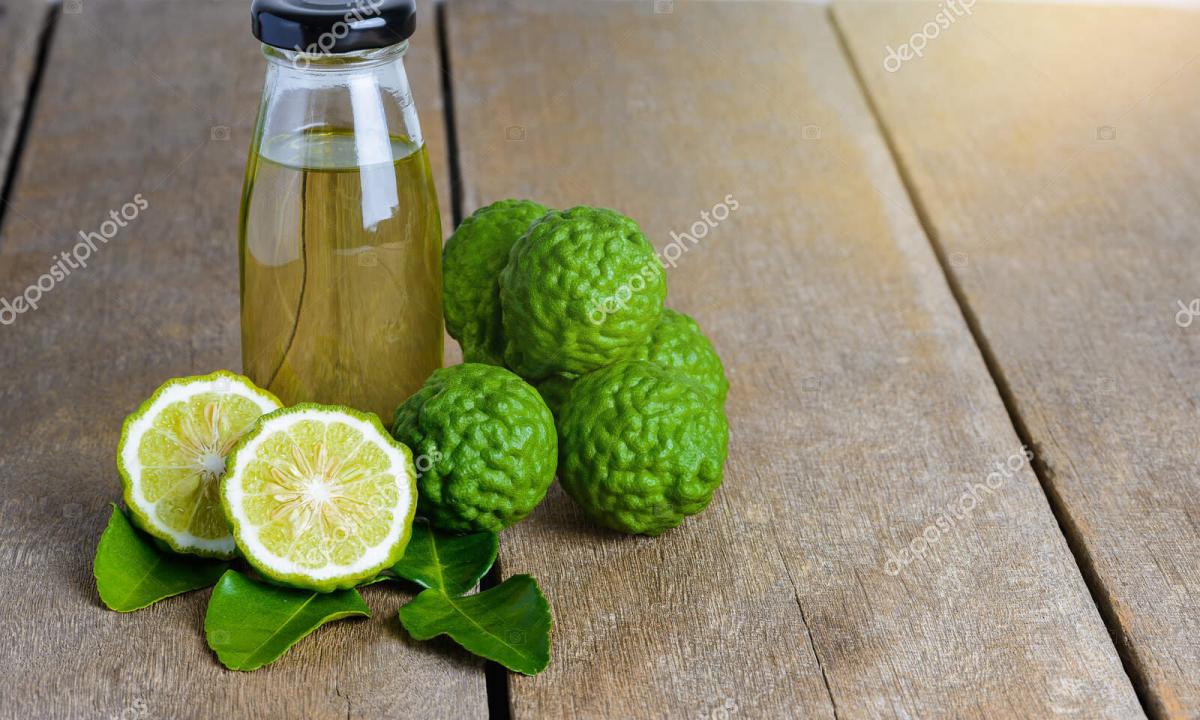 We get acquainted with useful properties of a bergamot: description, essential oil, application