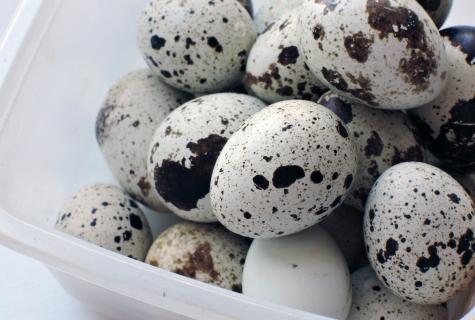 Than quail eggs are useful to male health