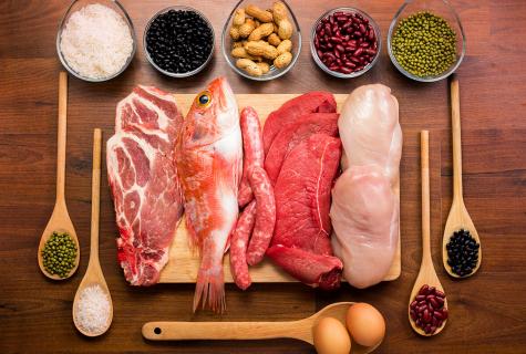 Types of proteins in sports food