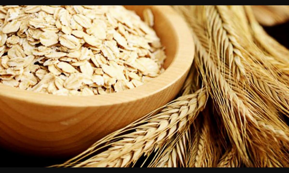 Advantage and harm of oat kissel
