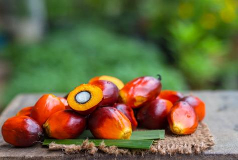 Palm oil: harm or advantage?