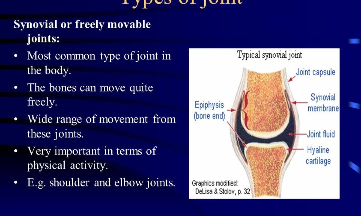 Sports food for recovery of joints and cartilages"
