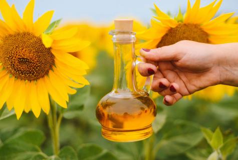 Than crude sunflower oil is useful