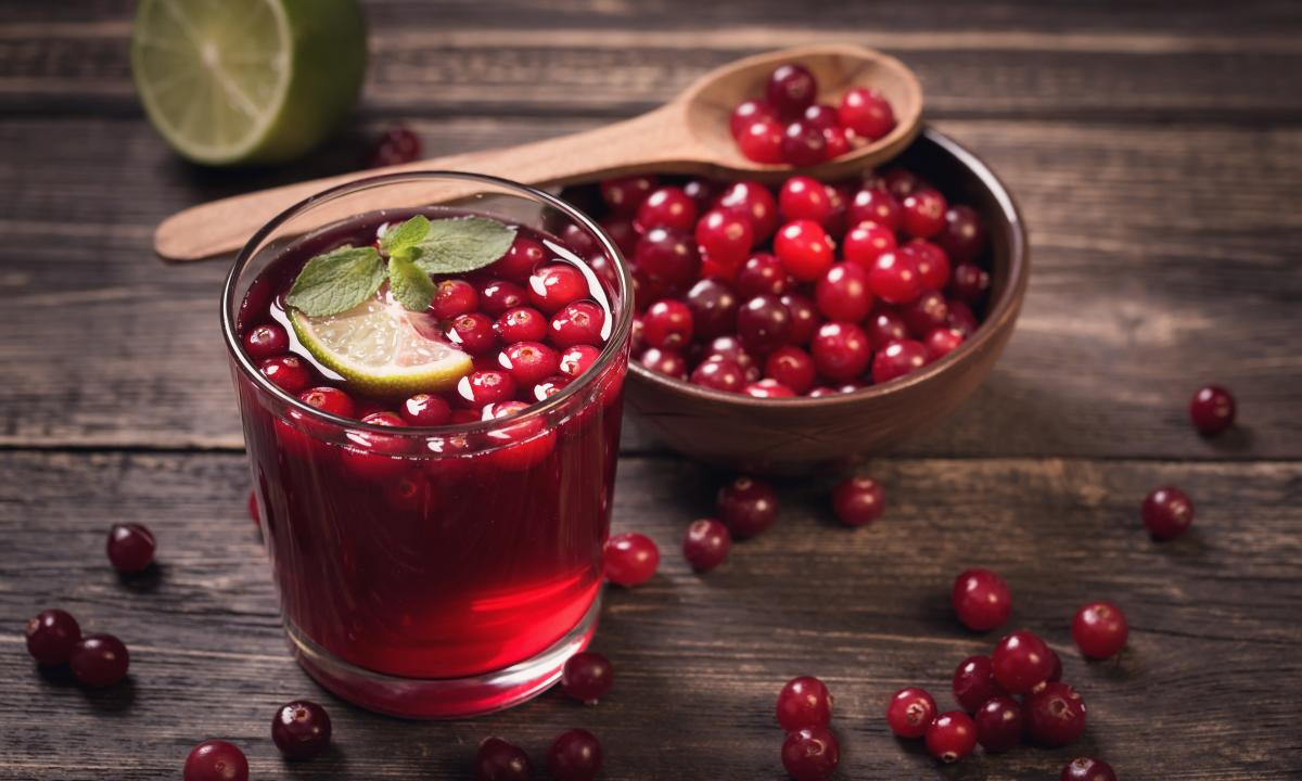Whether it is possible to drink cowberry drink at pregnancy