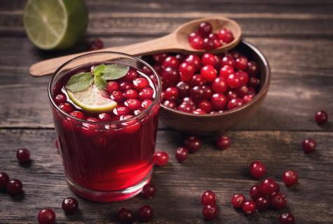 Whether it is possible to drink cowberry drink at pregnancy