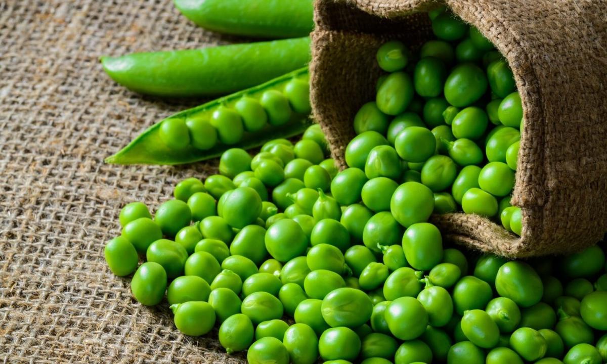 Green peas (tinned): advantage and harm