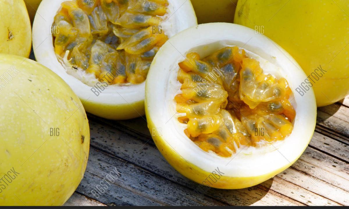 Passion fruit: description, cultivation and useful properties of fruit of passion