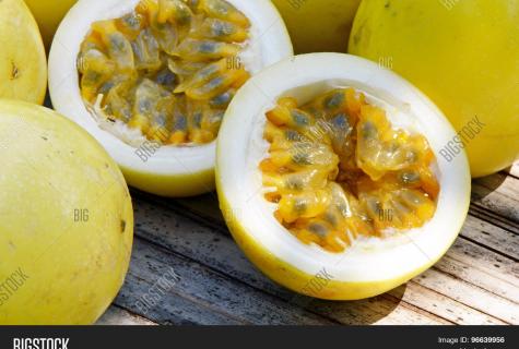 Passion fruit: description, cultivation and useful properties of fruit of passion