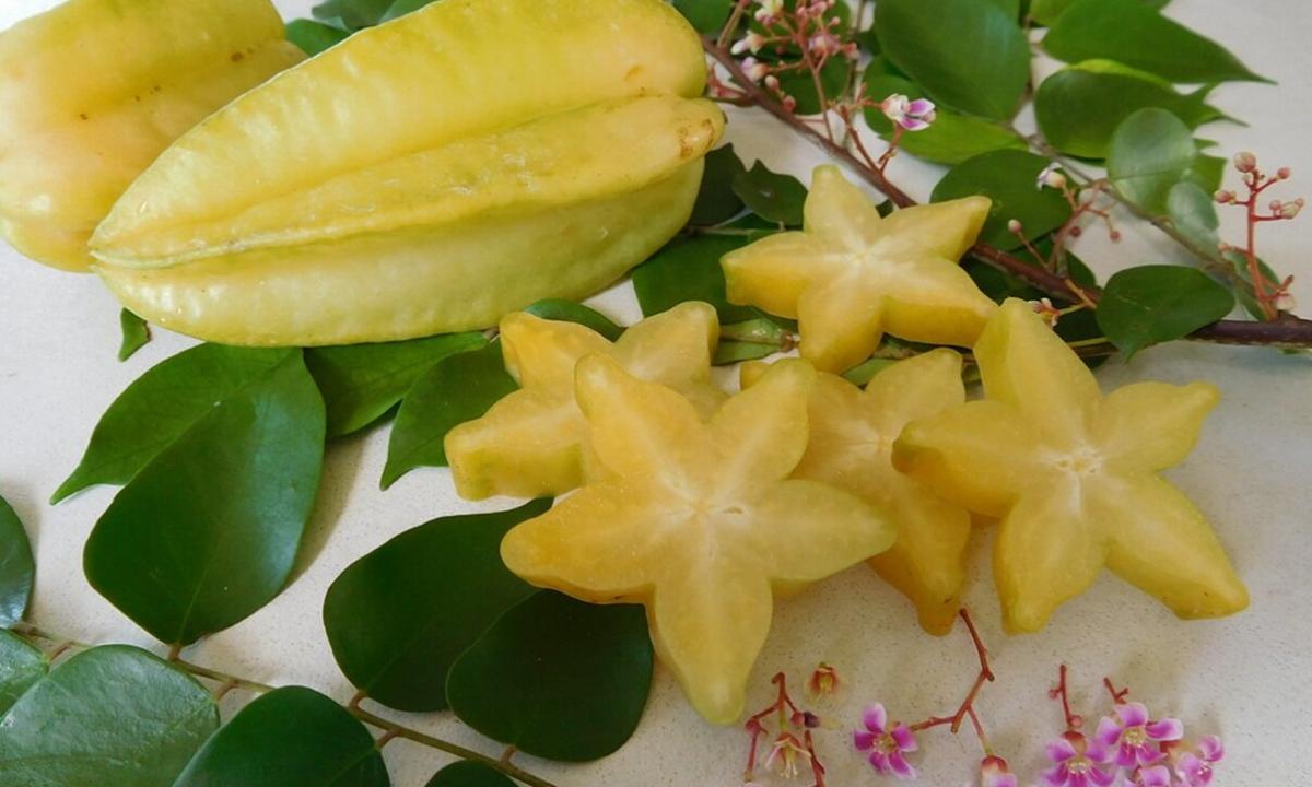 Fruit a carambola — a tasty star: cultivation in house conditions