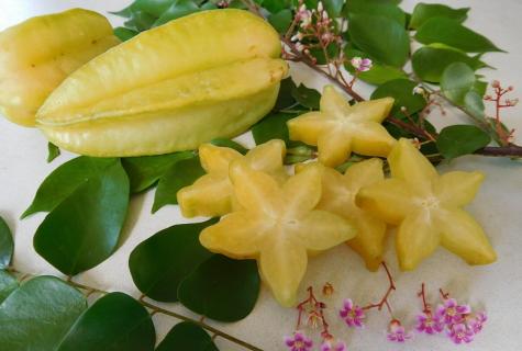 Fruit a carambola — a tasty star: cultivation in house conditions