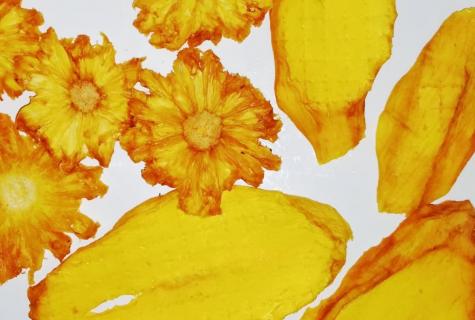 Dried mango: advantage and harm