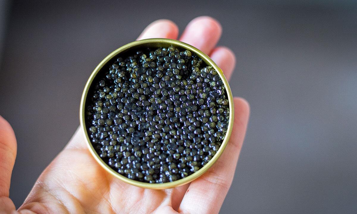 Black caviar: advantage and harm