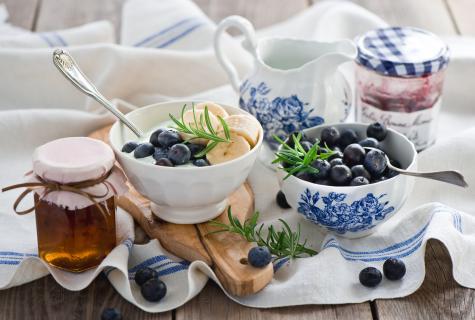 Than bilberry is useful: berries, leaves, escapes, jam, syrup, tea