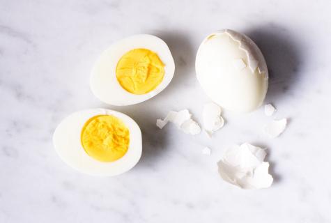 Egg protein: pluses and minuses how to accept