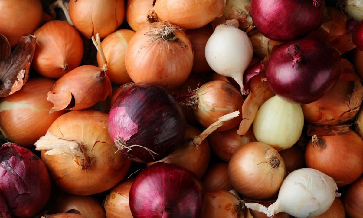 "As onions-slizun look, and than it is useful to an organism