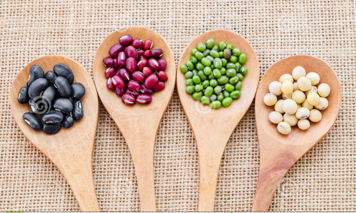 Bean products: advantage and harm for health