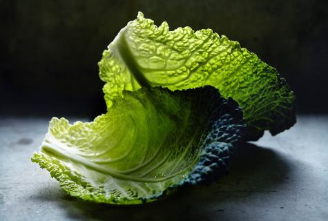 Whether the sea cabbage in canned food is useful?