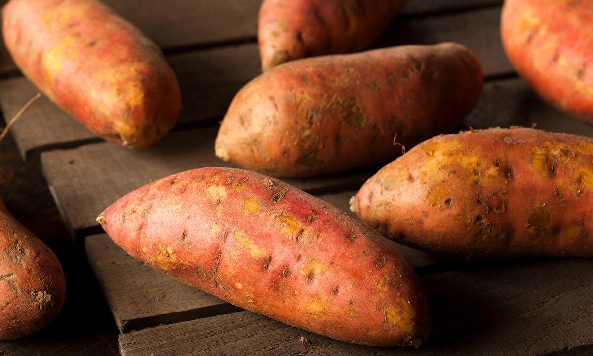 Than sweet potato is useful